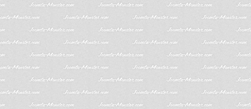 Vestibulum efficitur